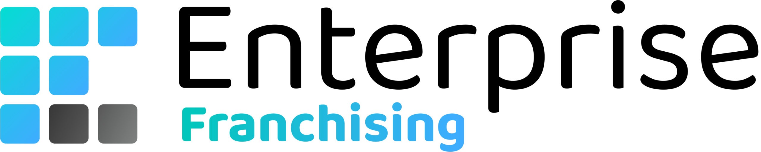 Enterprise Franchising